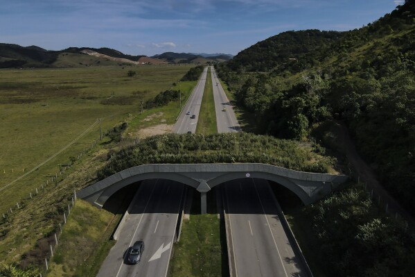 A vehicle drives under a wildlife crossing that allows animals to go over a highway in Silva Jardim, Rio de Janeiro state, Brazil, July 10, 2022. (AP Photo/Lucas Dumphreys, File)